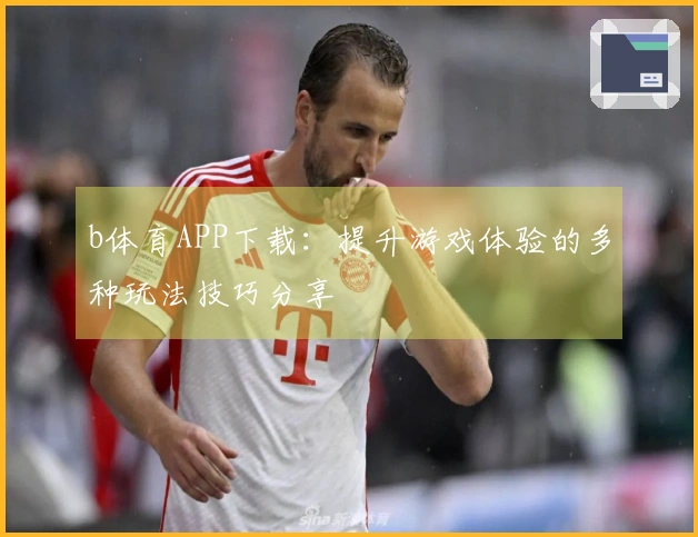 b体育APP下载：提升游戏体验的多种玩法技巧分享