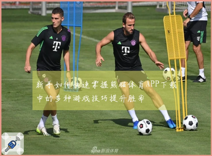 新手如何快速掌握熊猫体育APP下载中的多种游戏技巧提升胜率