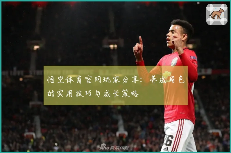 悟空体育官网玩家分享：养成角色的实用技巧与成长策略