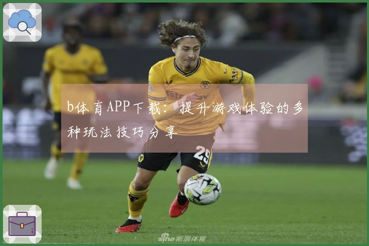 b体育APP下载：提升游戏体验的多种玩法技巧分享