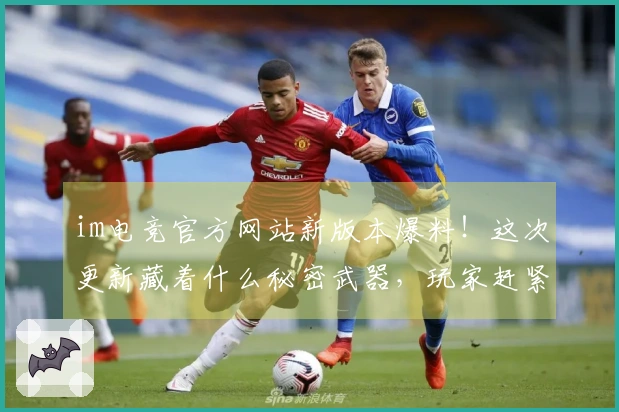 im电竞官方网站新版本爆料！这次更新藏着什么秘密武器，玩家赶紧来瞧瞧！