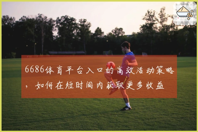 6686体育平台入口的高效活动策略，如何在短时间内获取更多收益